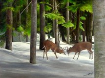 white tail buck, northern NH, winter landscapes,NH wildlife, paintings of wildlife, pictures of deer,Great North Woods NH